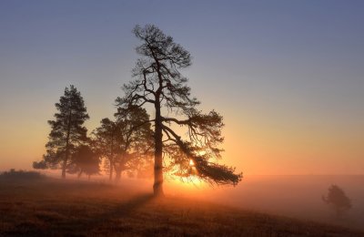Q3 2020 06 Morgenstund (1. Platz) | Rudolf-A | 