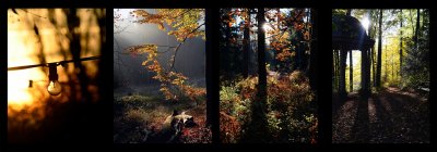 Q4 20 01 Herbstlicht | Günther-M | 