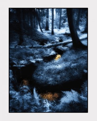 q2 23 Rothwald (2. Platz) | Heiko-W | 