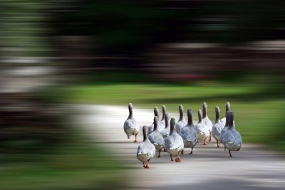 Q3 2024 GM Der Abend kommt (7. Platz) | Günther-M | 